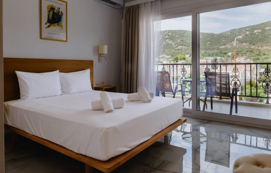 Double Room with City Mountain View
