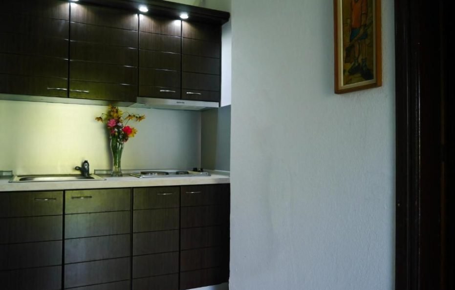 Standard Studio with Garden View